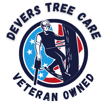 devers logo drawing of man on tree with american flag behind